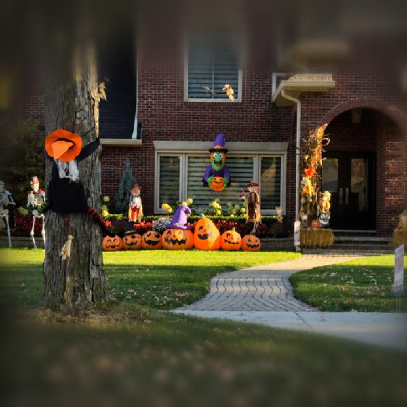 Fall Aglow 1 - 680 Golfcrest Dr