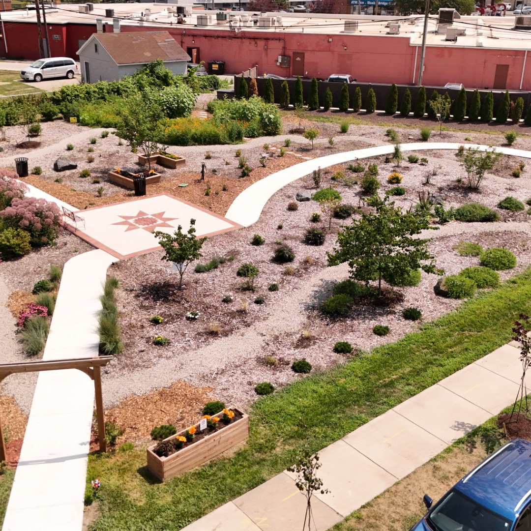 Butterfly Garden