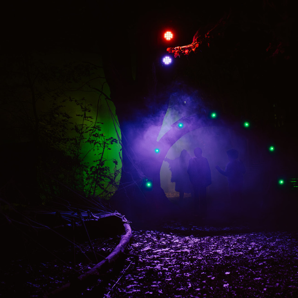 Haunted Trail Web 1