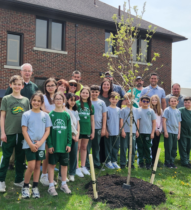 Trees at Sacred Heart School