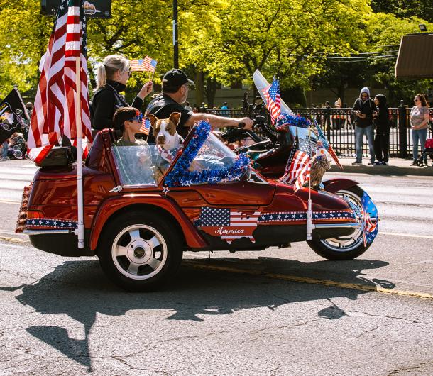 MDP Decorated Car with Flags